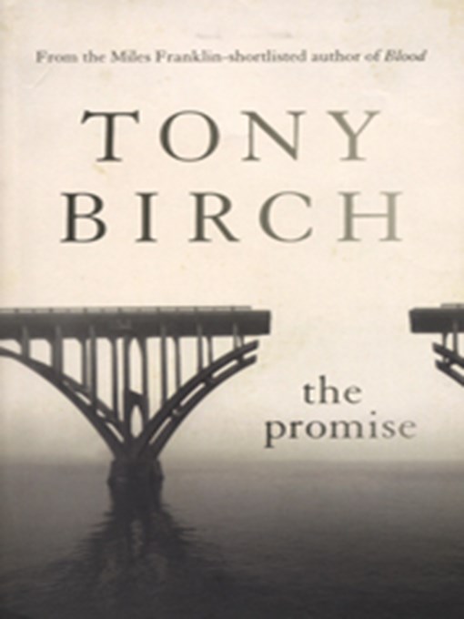 Title details for The Promise by Tony Birch - Available